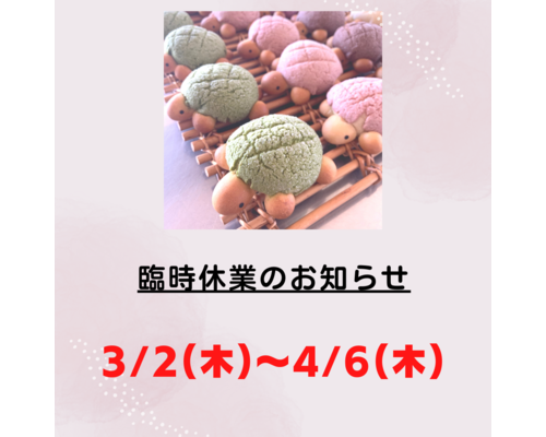 ピンク　白　新商品　インスタグラムの投稿 (Instagramの投稿（正方形）)