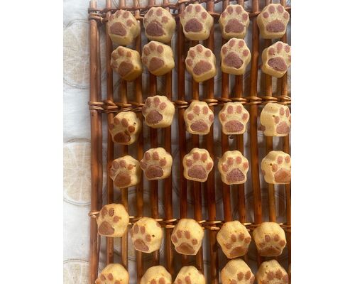 42243DD4-16C4-4BC7-BBFA-34847417B657